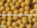 Soybean Isoflavones Extract